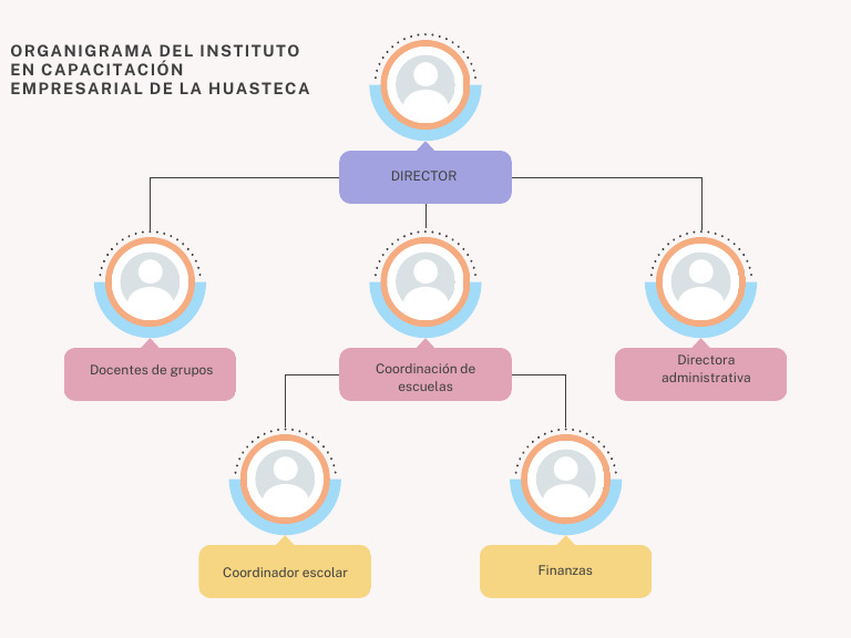 Soft Pink Minimalist Organizational Structure Graph | PDF