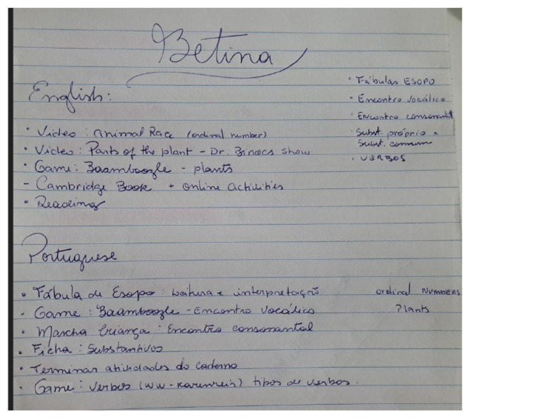 COMO FUNCIONA SUMMARY visual data 5