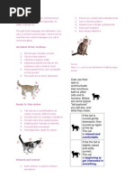 Feline FAS Scale: Understanding Aggression | PDF