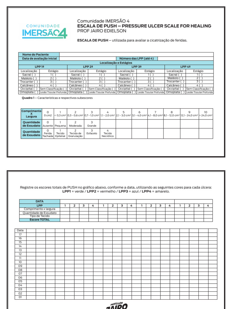 Escala DE PUSH FERIDAS | PDF