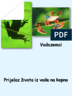 08 Vodozemci