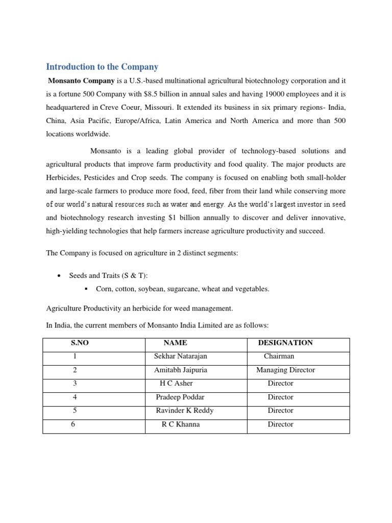 Introduction To The Company | PDF