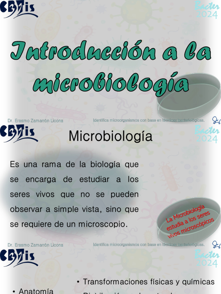 Bacter 2024. IntroducciÃ N | PDF