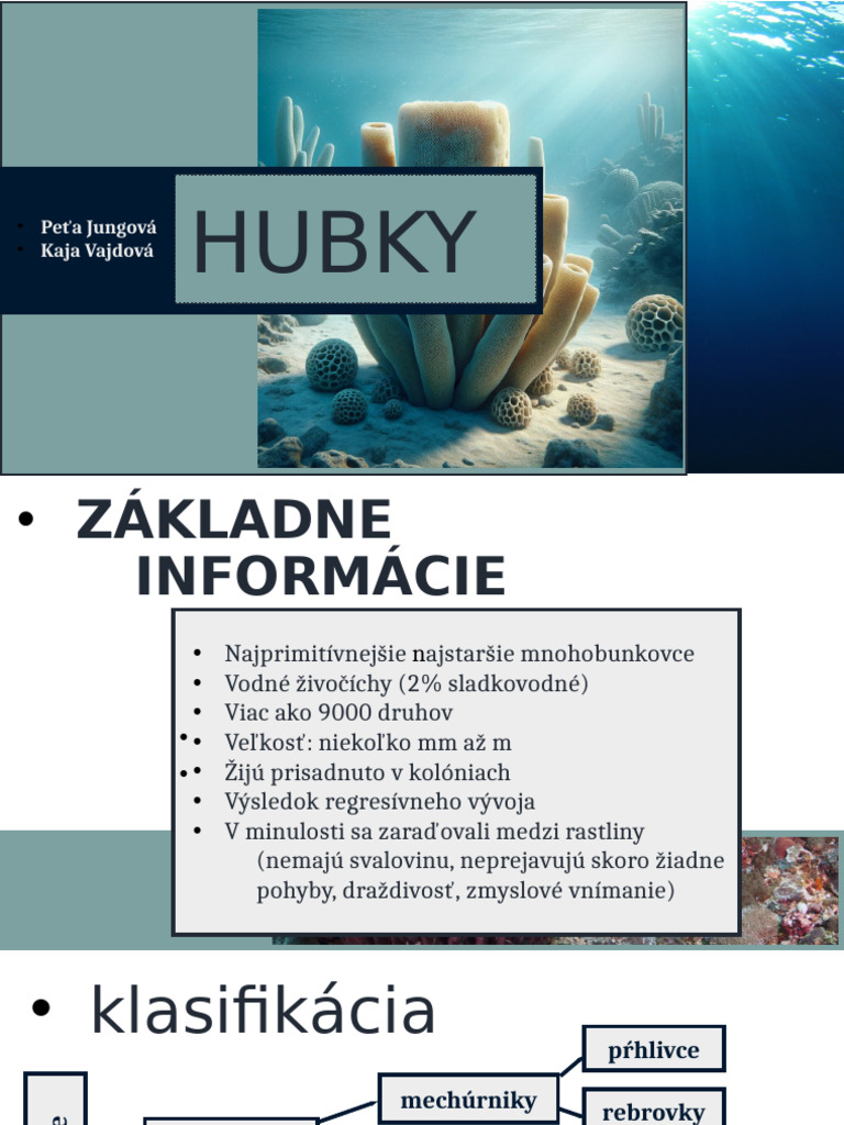 Hubky | PDF