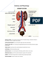 Anatomy and Physiology