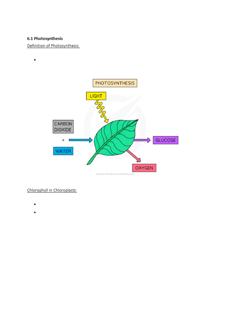 Lesson Plan Nutrition In Plants