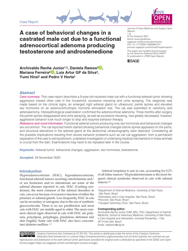 A Case of Behavioral Changes in A Castrated Male Cat Due To A ...