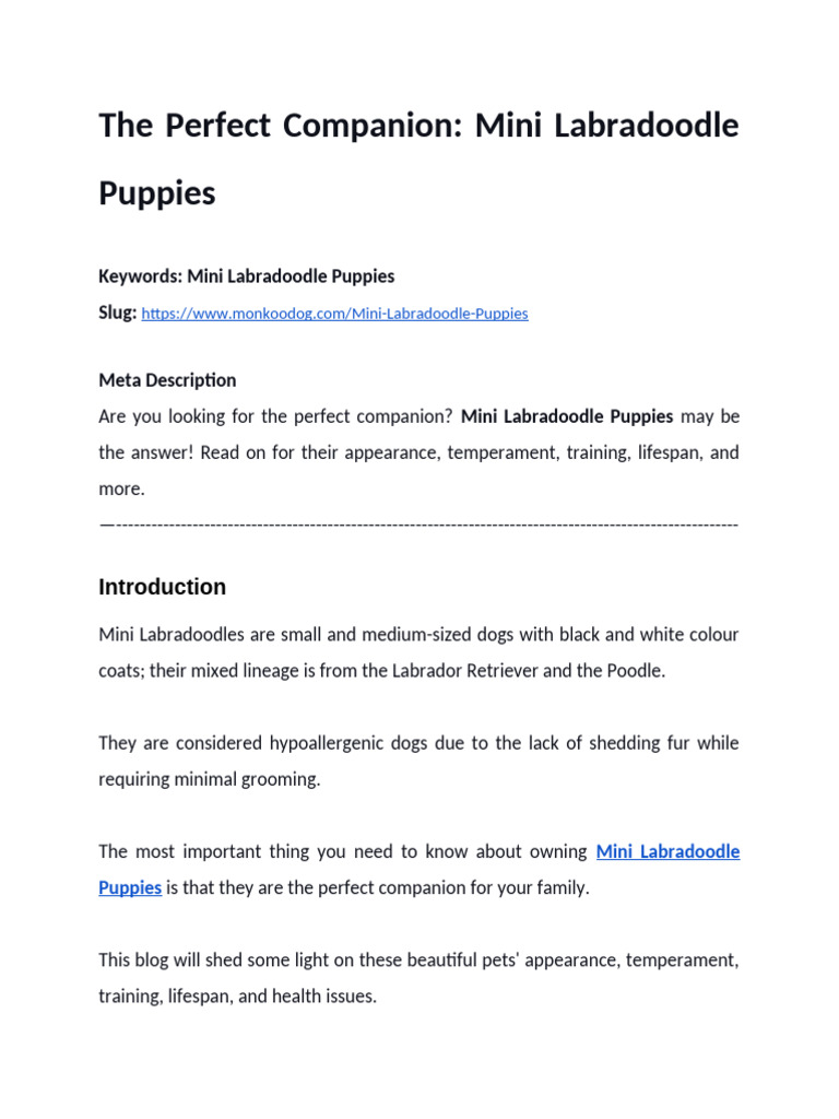 Mini Labradoodle Puppies | PDF