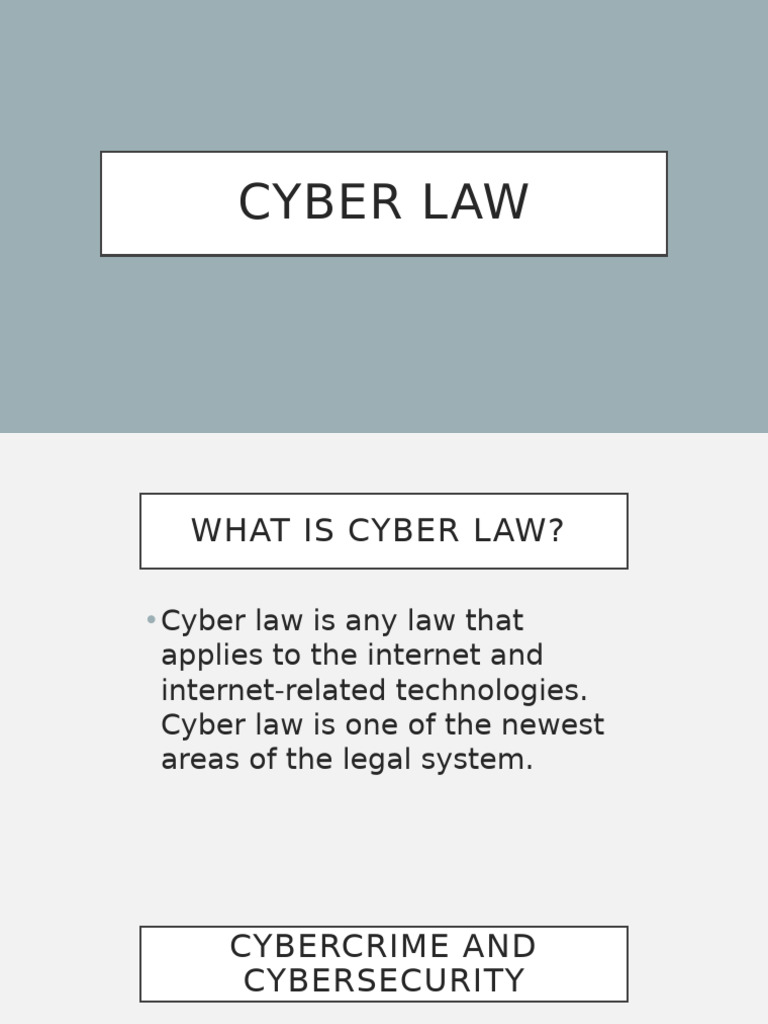 Cyber Law | PDF