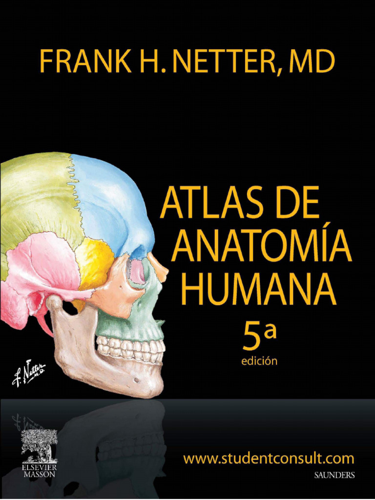 Atlas de Anatomia Humana-5ta Edic-Netter | PDF