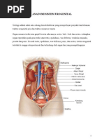 ANATOMI DAN FISIOLOGI SISTEM URINARIA.docx