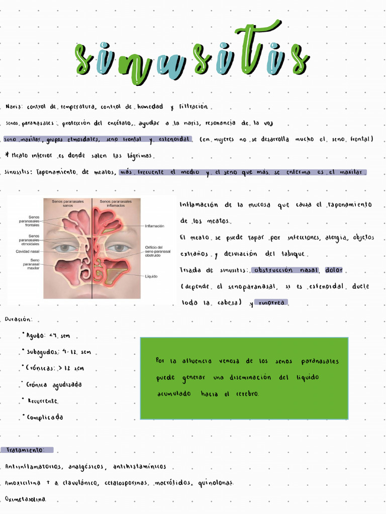 Sinusitis 240122 121320 | PDF
