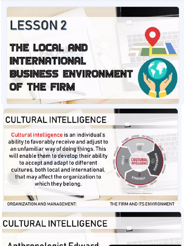 Organization and Management Cultural Intelligence | PDF