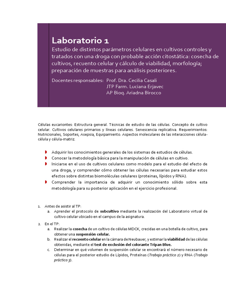 Guía TP 1 Final 2024 | PDF