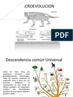 MACROEVOLUCION