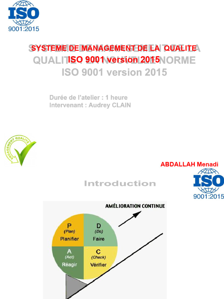 Management de La Qualité | PDF