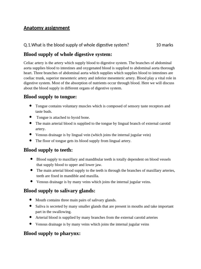 Anatomy | PDF