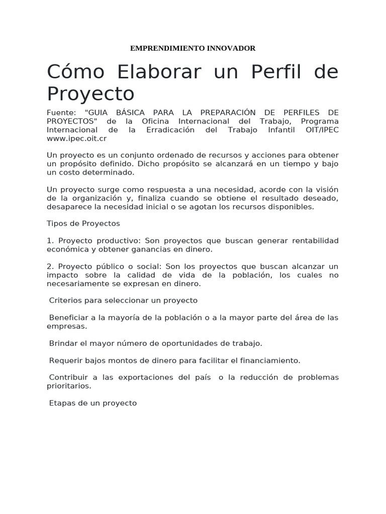 Perfil de Un Proyecto - Elementos | PDF