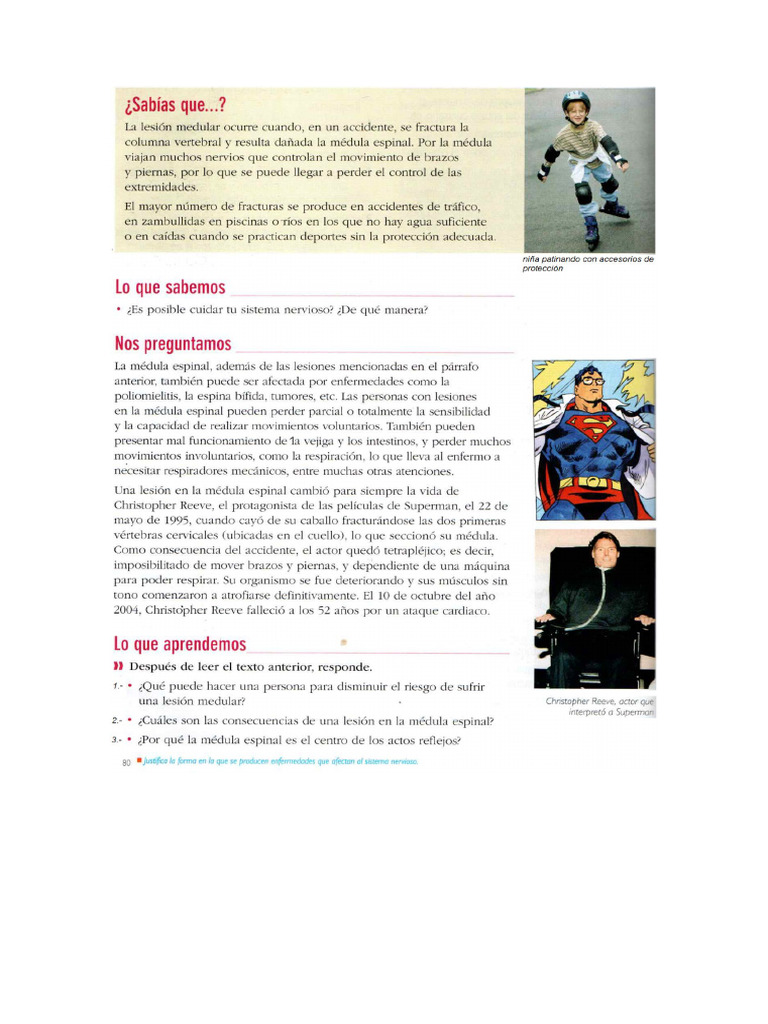 Cuiado Del Sistema Nervioso Clase 4.1 | PDF