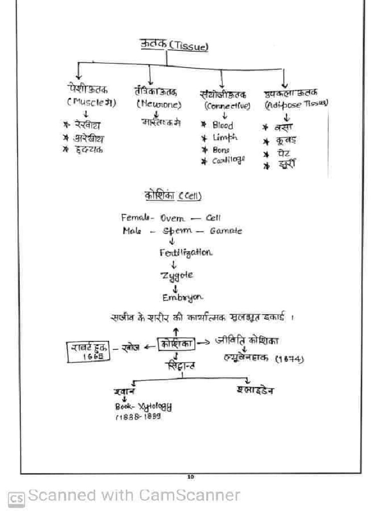 Biology Notes Hindi Pdf