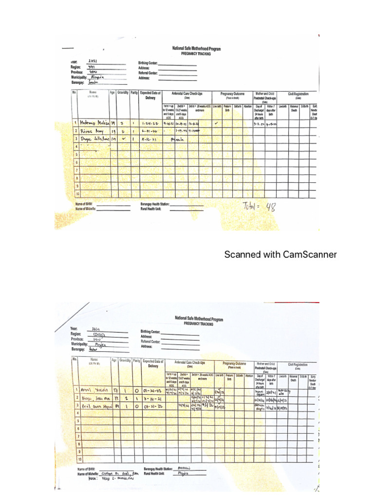 National Safe Motherhood Program Pdf