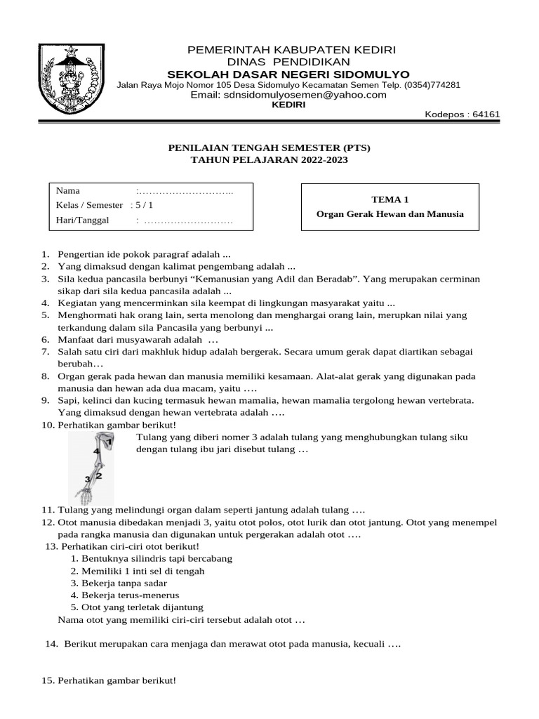Penilaian Tengah Semester SD 2022-2023 | PDF | Sports & Recreation ...