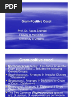 Download Gram Positive Cocci by hamza jassar SN7680353 doc pdf