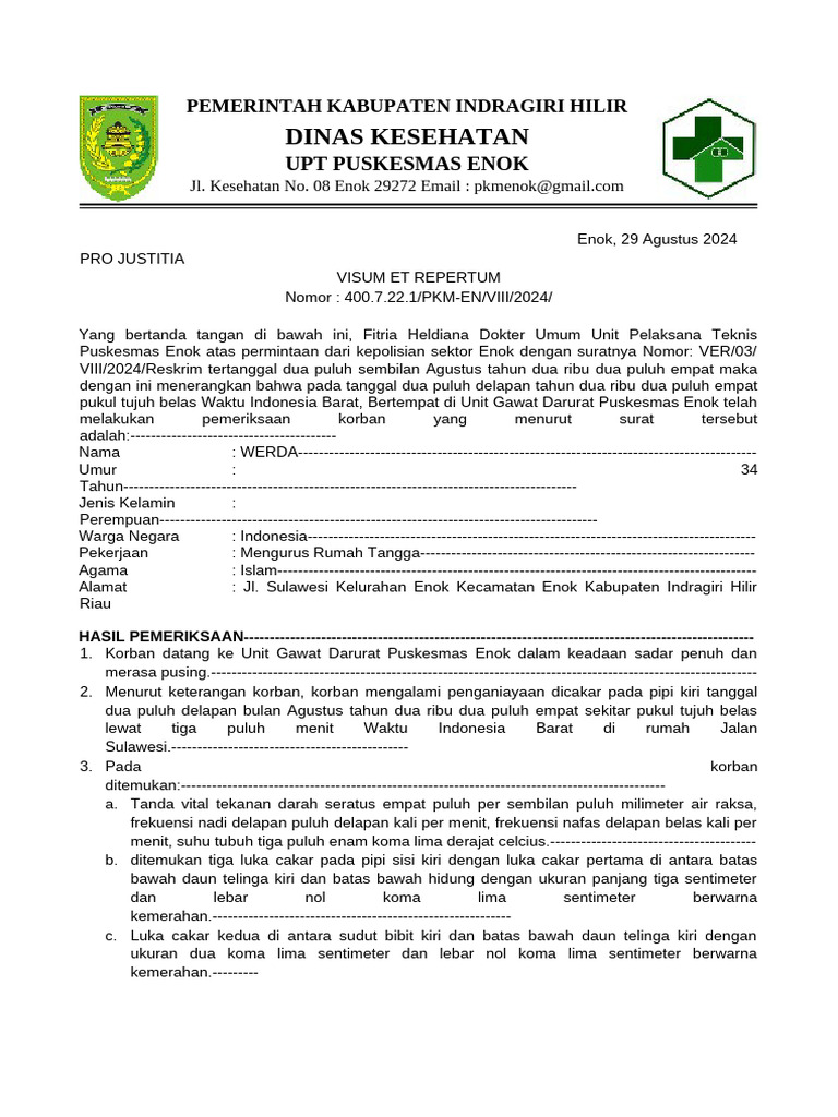 Visum Werda | PDF
