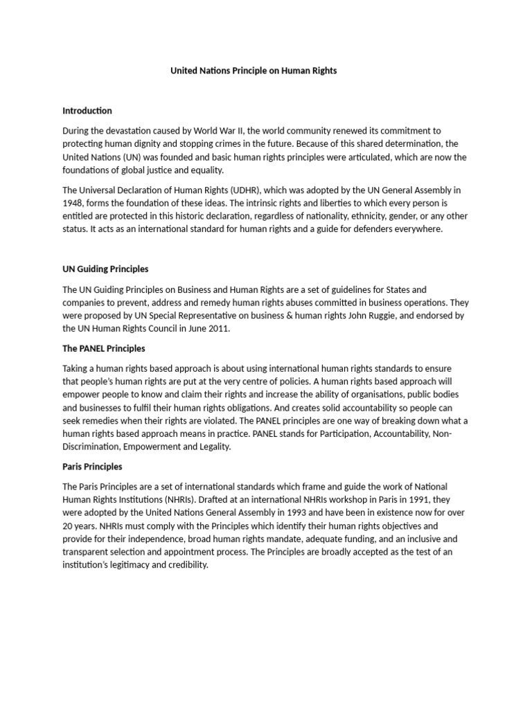 United Nations Principle On Human Rights | PDF