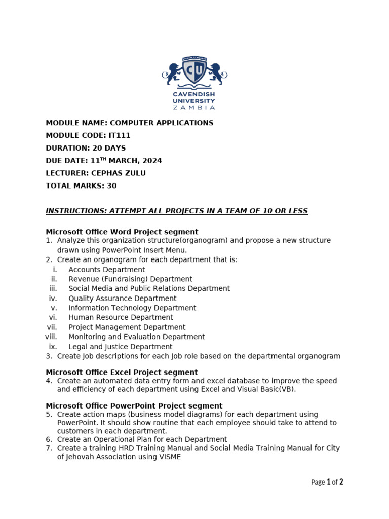 Computer Applications Project Overview | PDF | Microsoft Excel | Business