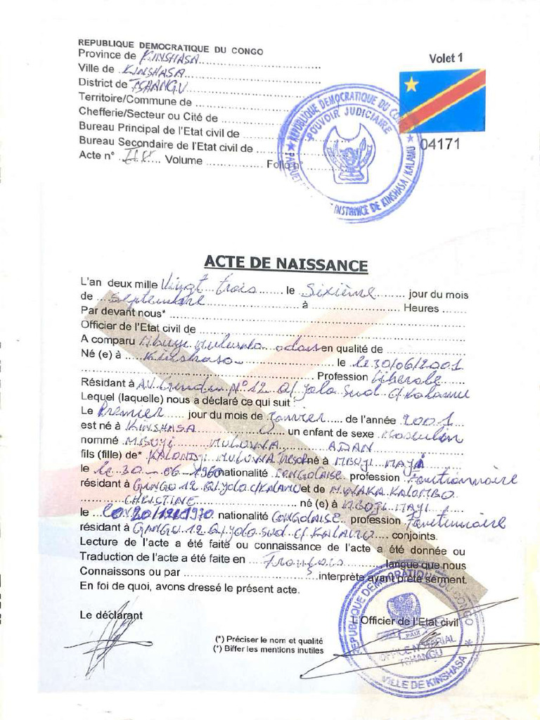 Acte de Naissance Et Casier | PDF