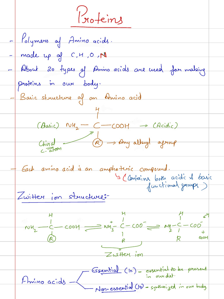 Biomolecules Proteins Pdf