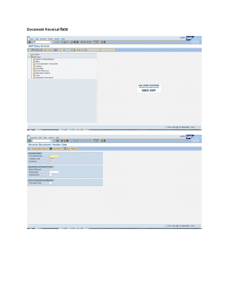 Document Reversal Fb08 | PDF