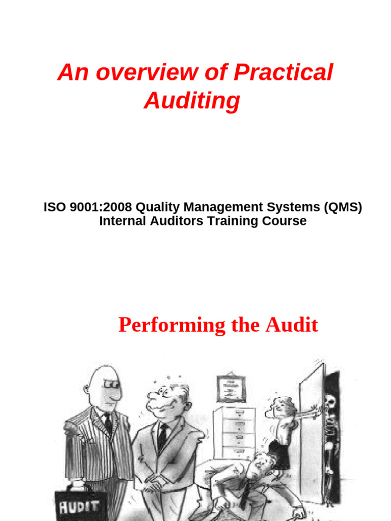 7 Performing The Audit | PDF