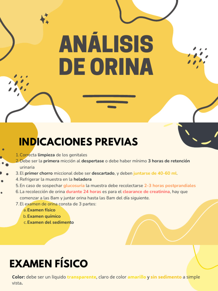 An lisis de orina power pdf