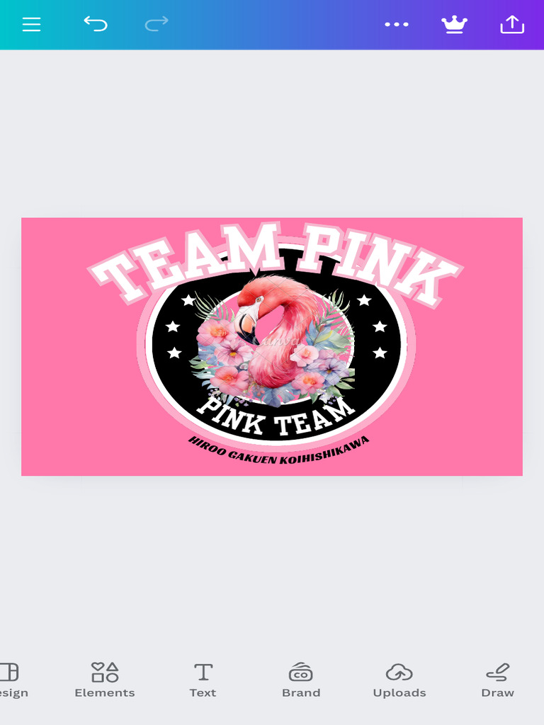Pink flag small pdf