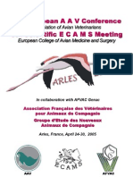 Arles EAAV2005 Proceedingsweb
