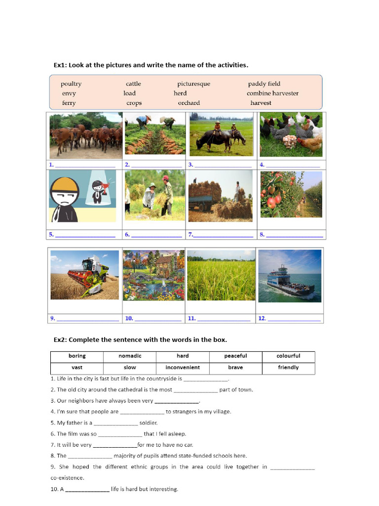 Unit 2 G8 Practice Grammar Pdf