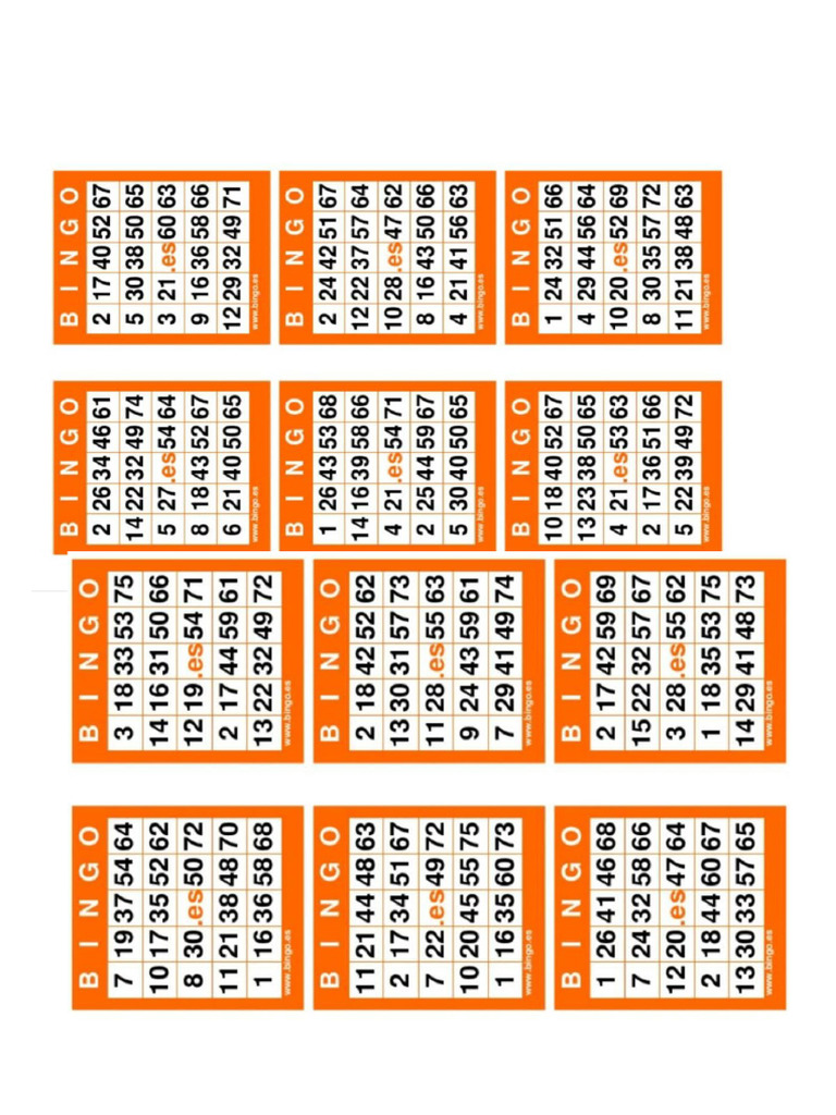 Bingo | PDF