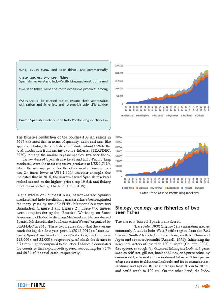Seer Fishes in Focus | PDF