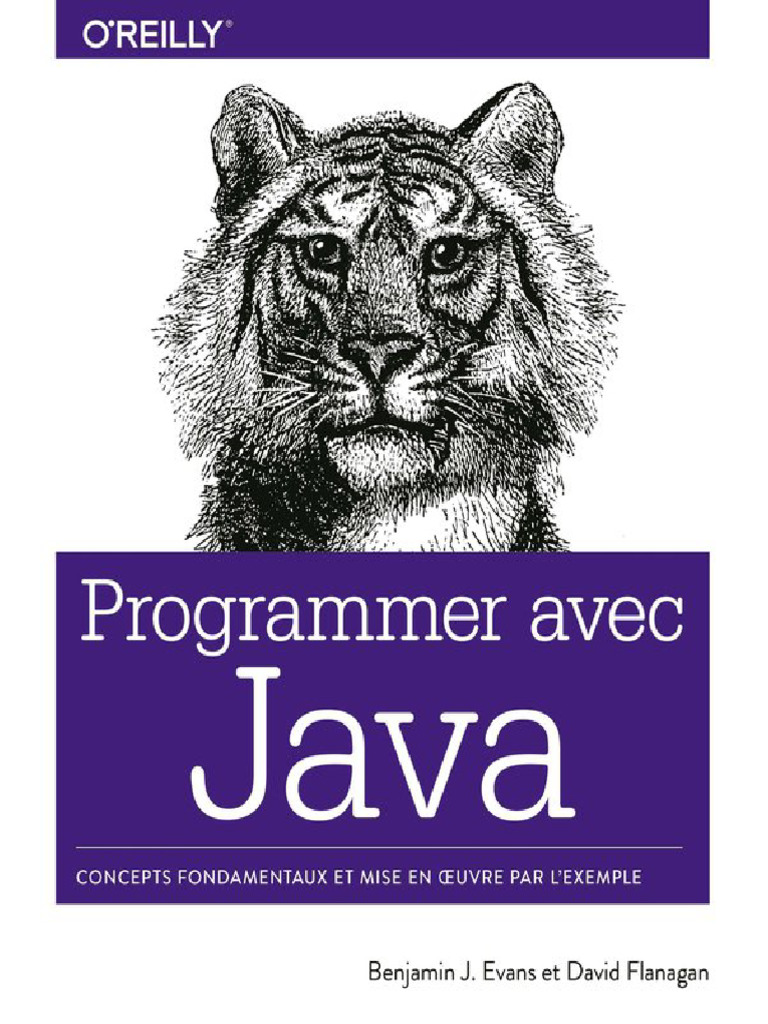 Programmer Avec Java - Concepts Fondamentaux Et Mise en Oeuvre Par ...