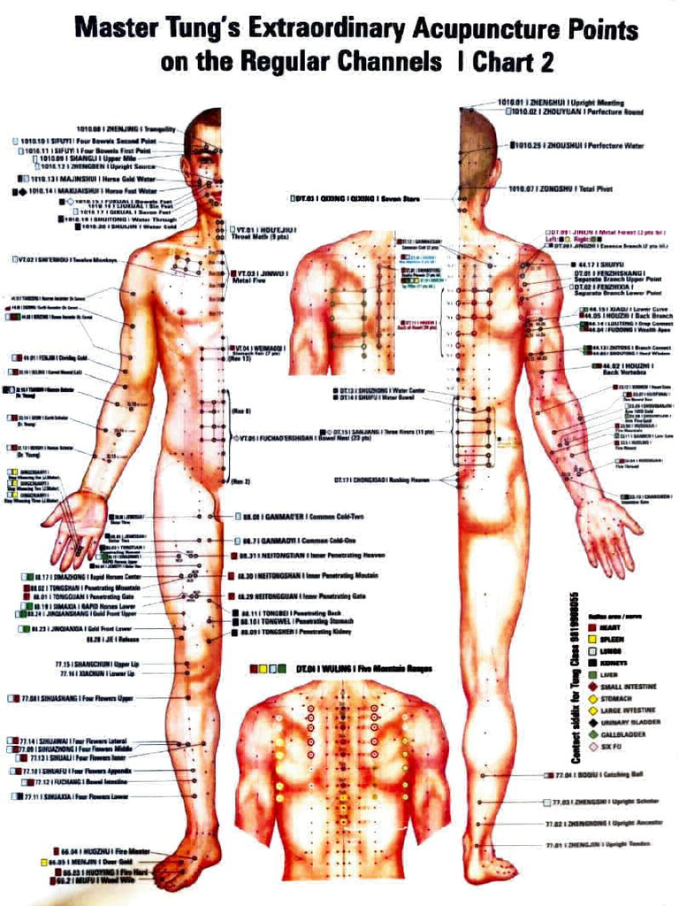Master Tung's Extraordinary Acupuncture Points On The Regular Channels ...