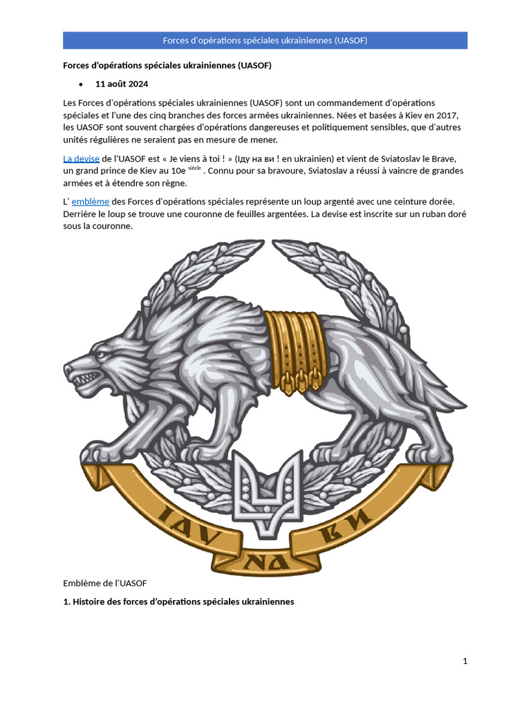 Forces D'opérations Spéciales Ukrainiennes (UASOF) | PDF