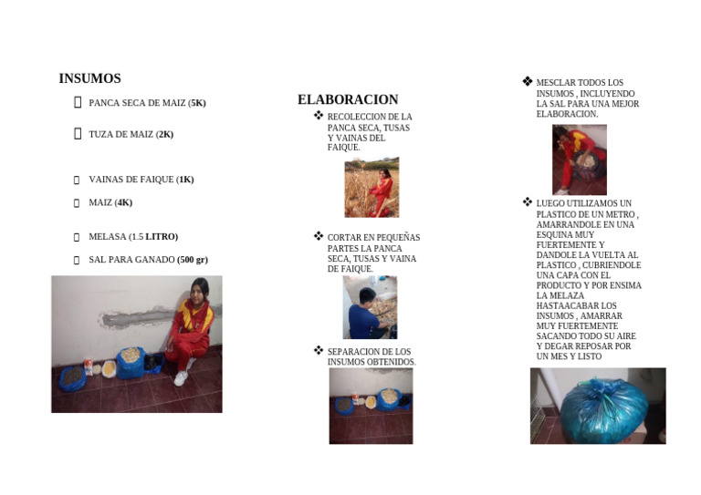In Sumos | PDF