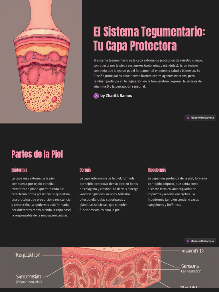 El Sistema Tegumentario Tu Capa Protectora | PDF