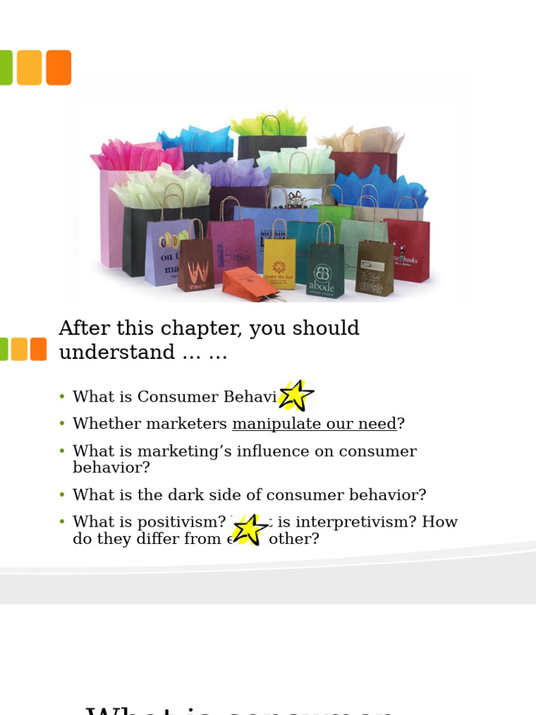 1 - An Introduction To Consumer Behavior | PDF