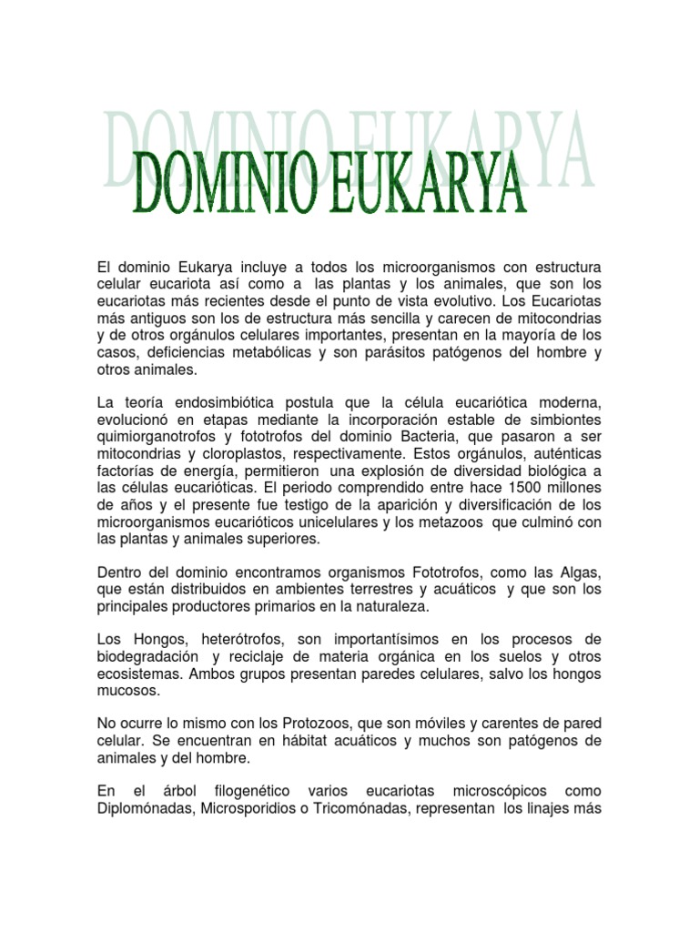 Estructura y Clasificación del Dominio Eukarya | PDF | Eucariotas | Plantas