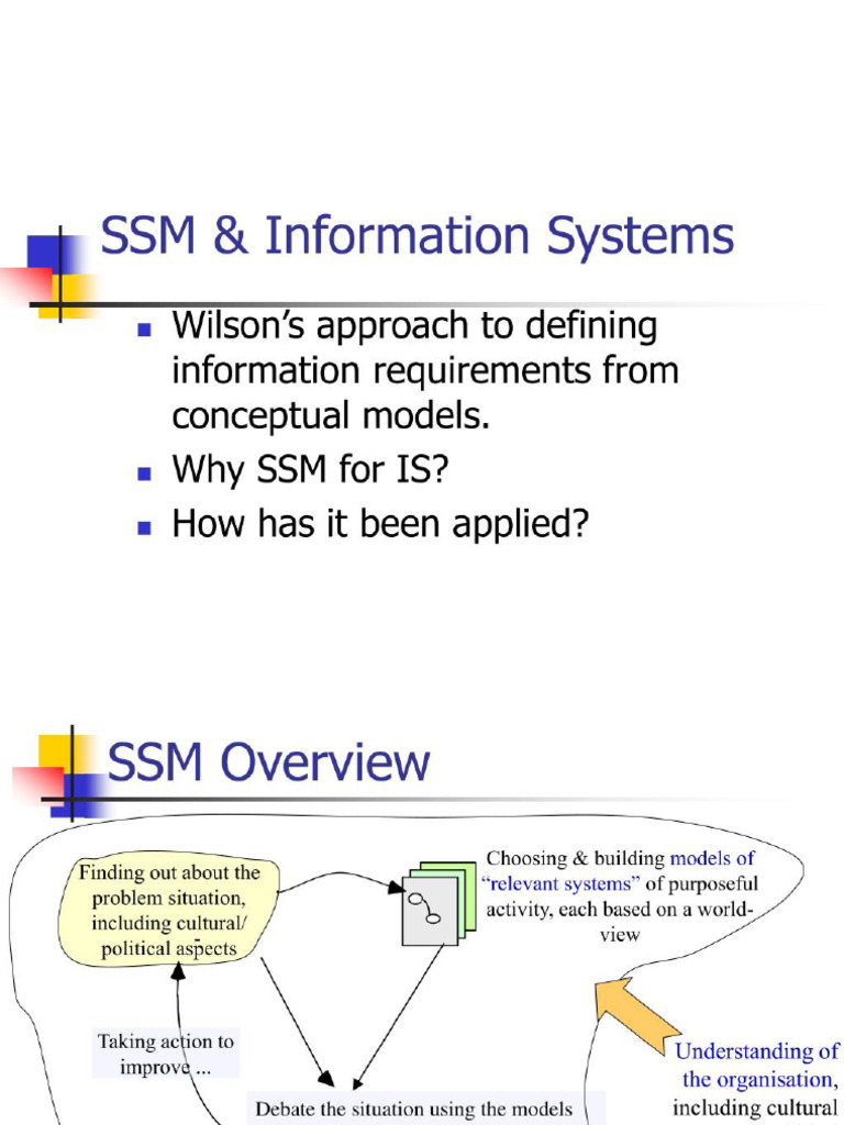 SM &information Systems | PDF