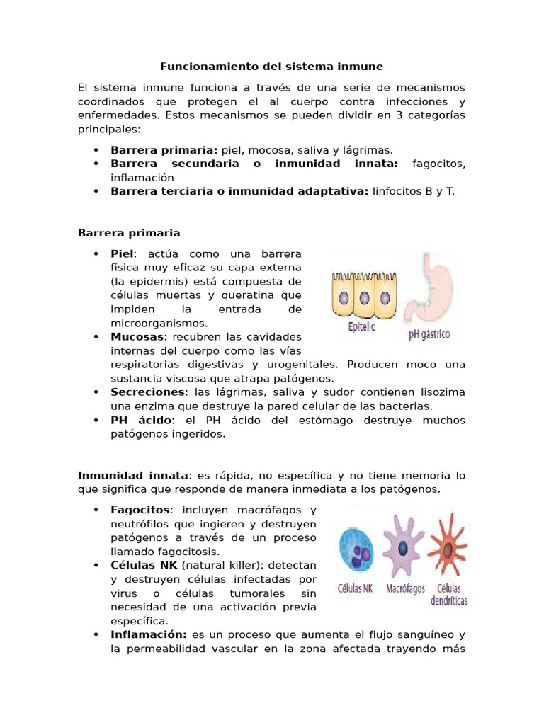 Funcionamiento Del Sistema Inmune | PDF
