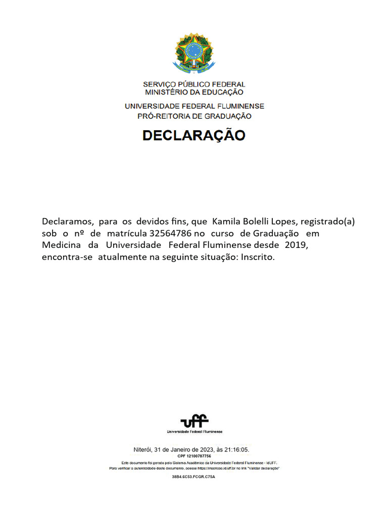 Declaração UFF-Kami | PDF